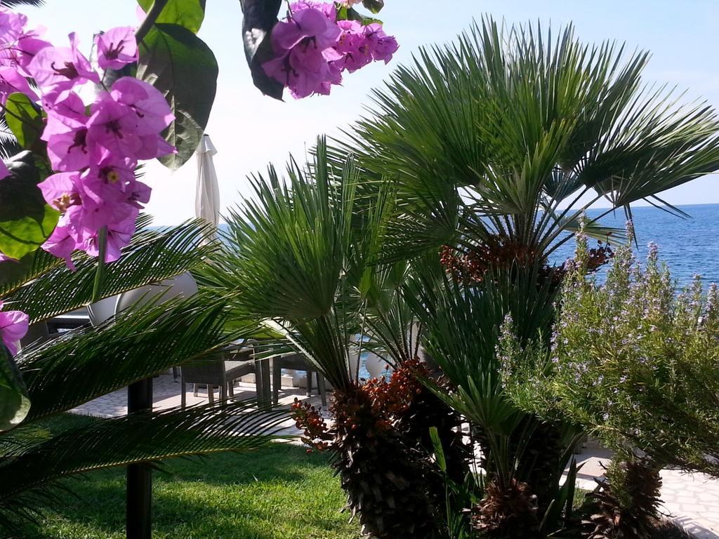 Apartments Villa Mare Mar 수토모레 외부 사진